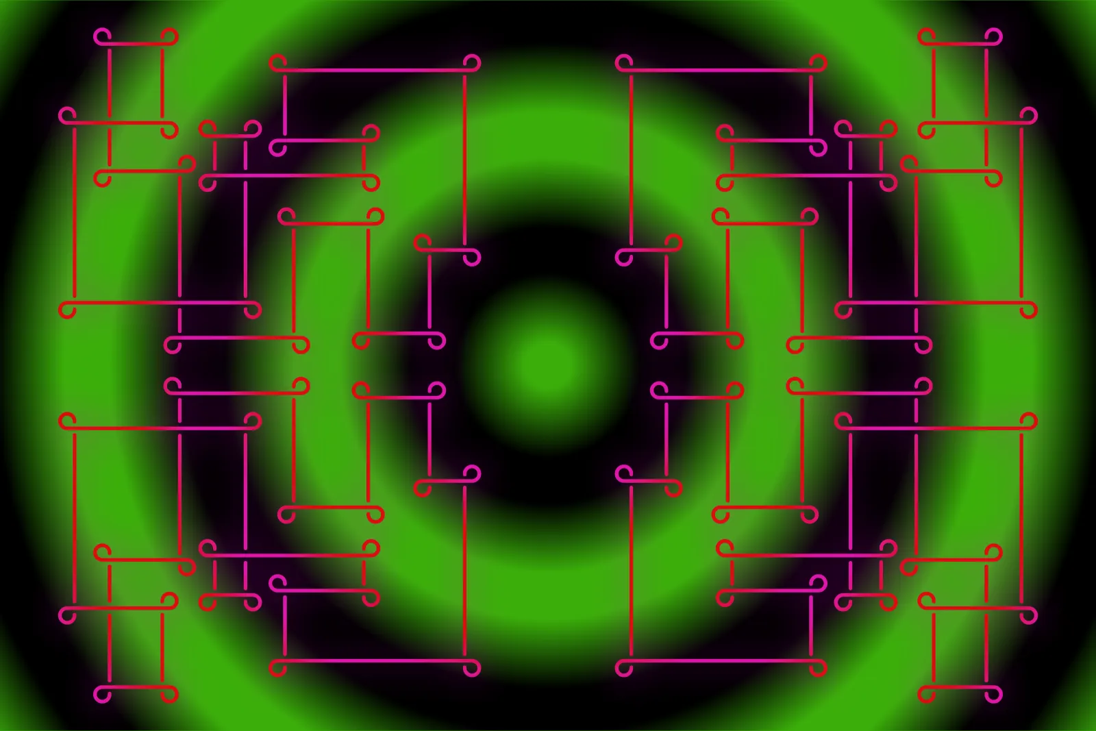 Dart Frog XIII